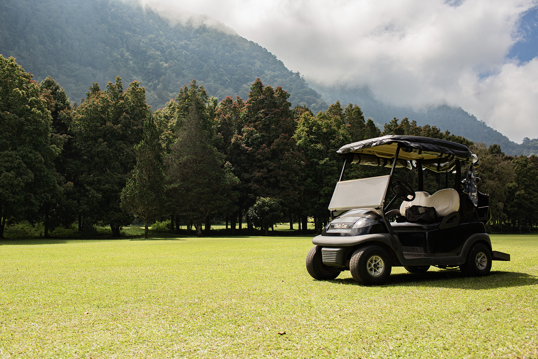 Golf Cart Battery